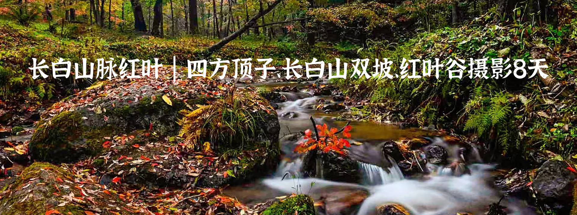 長(zhǎng)白山脈紅葉|四方頂子、長(zhǎng)白山雙坡、紅葉谷攝影8天