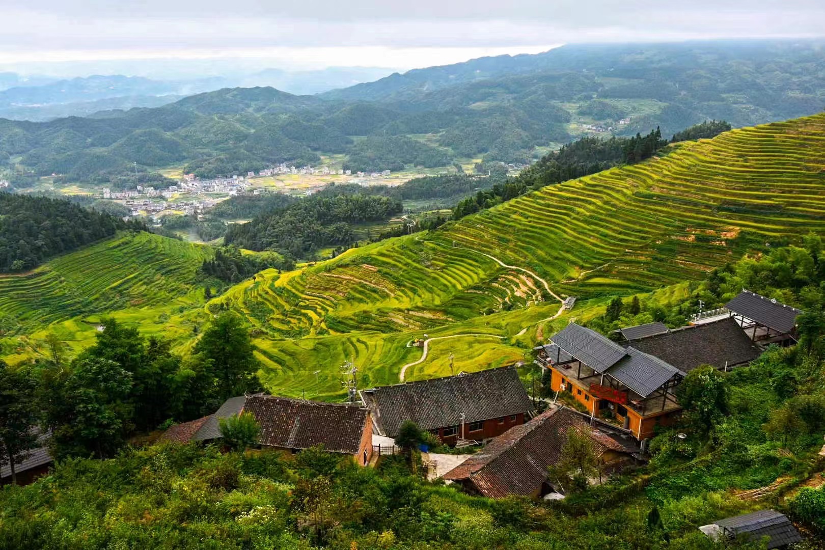 山背花瑶梯田最佳时间图片