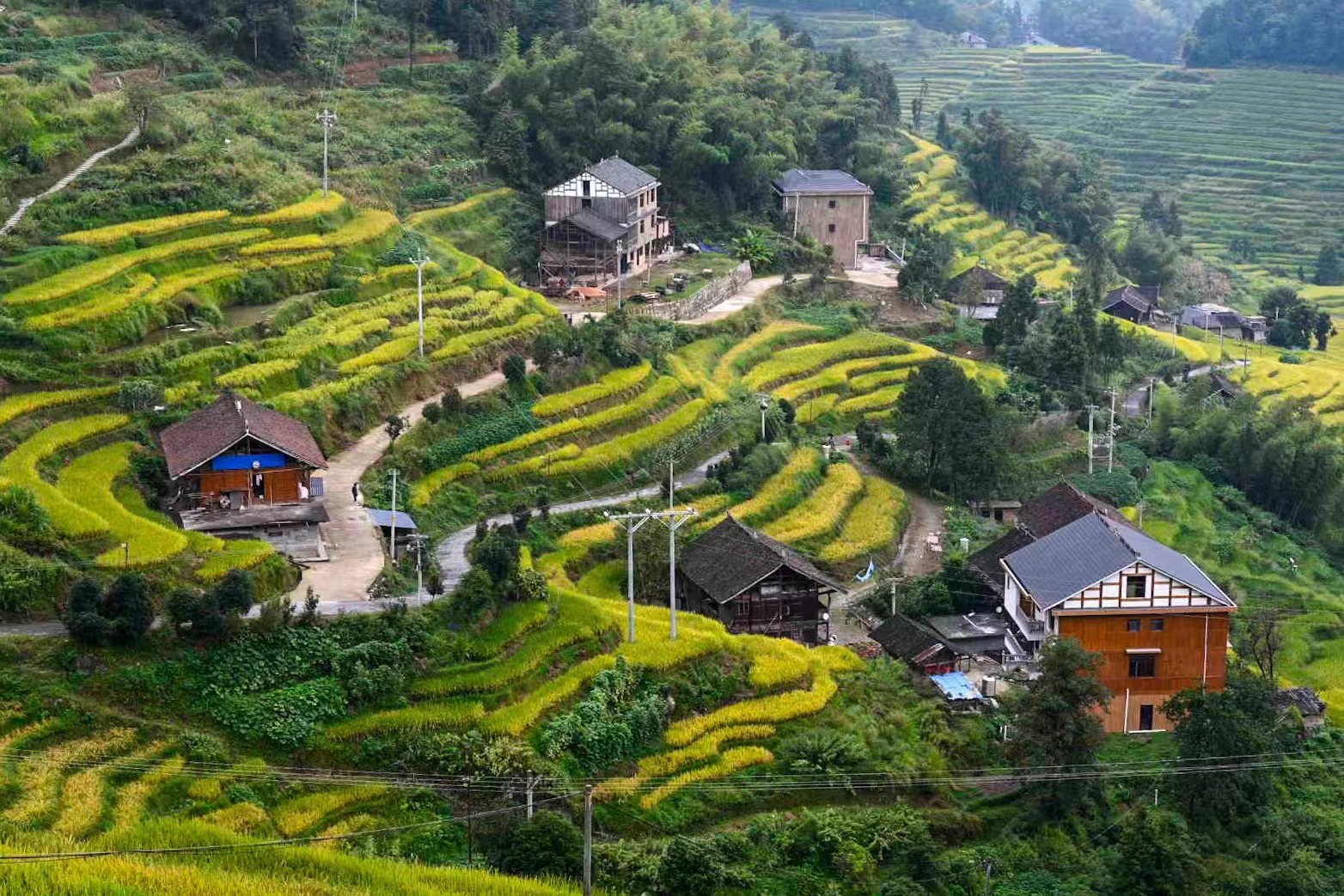 山背花瑶梯田最佳时间图片